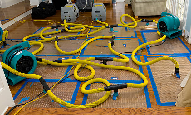 Professional Structural Drying And Dehumidification technician working in Oconto Falls, WI